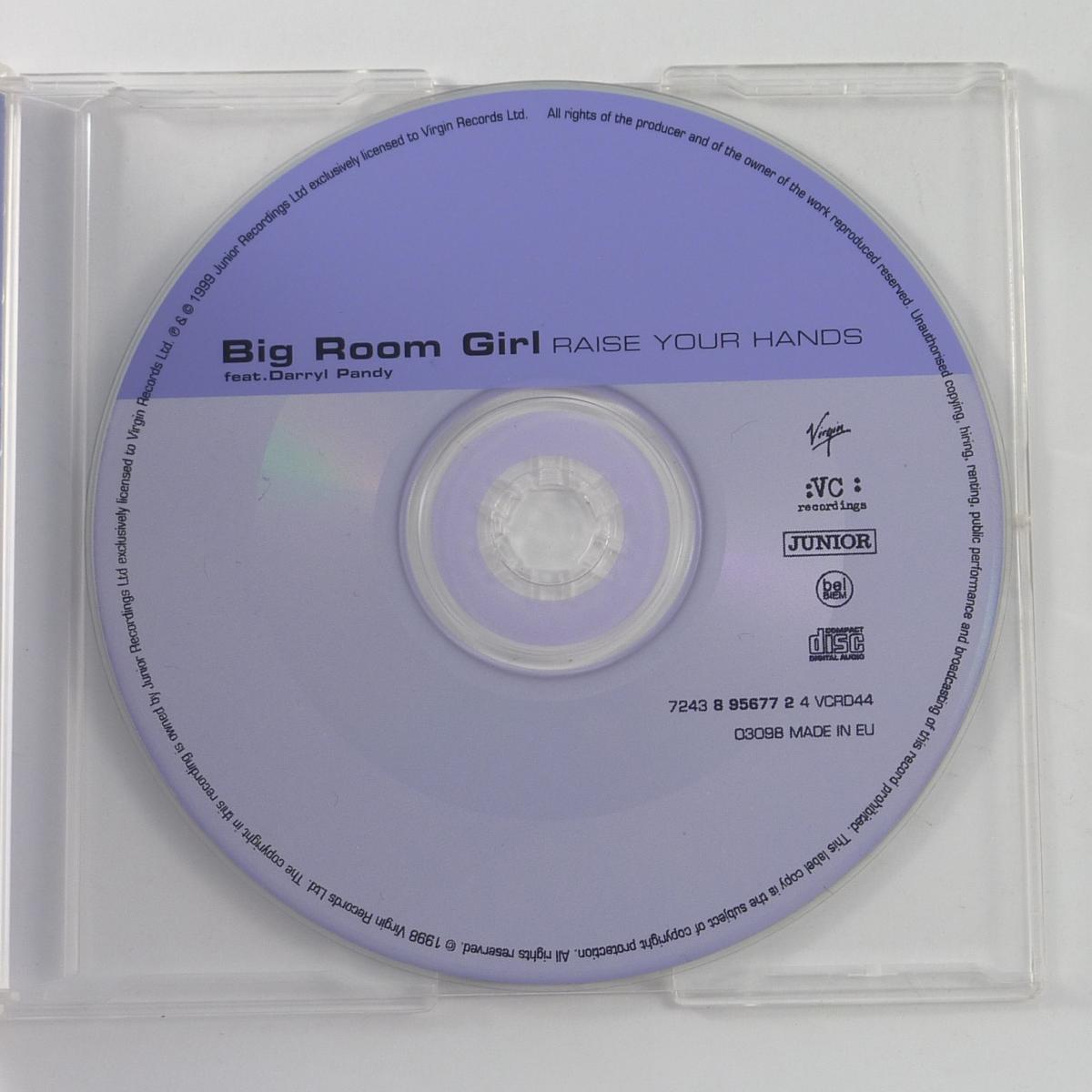 Big Room Girl Feat. Darryl Pandy Raise Your Hands CD Single