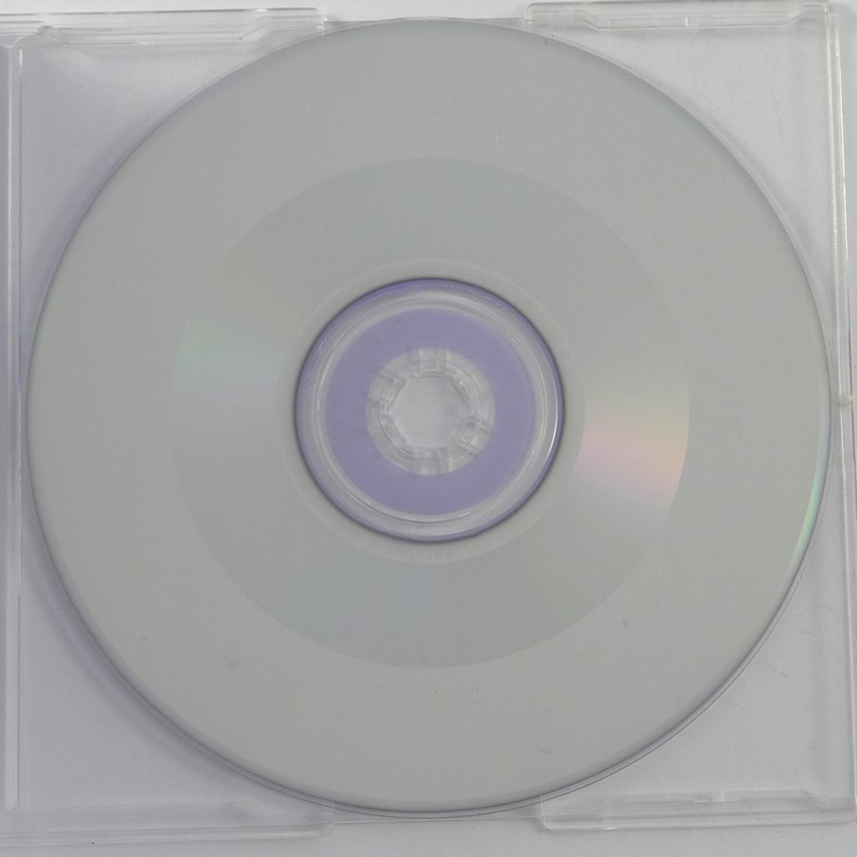 Big Room Girl Feat. Darryl Pandy Raise Your Hands CD Single