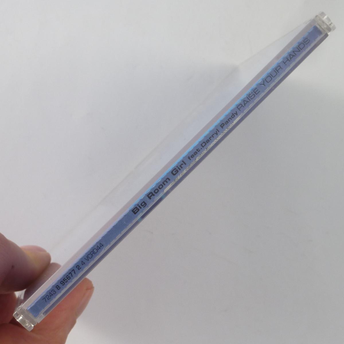 Big Room Girl Feat. Darryl Pandy Raise Your Hands CD Single