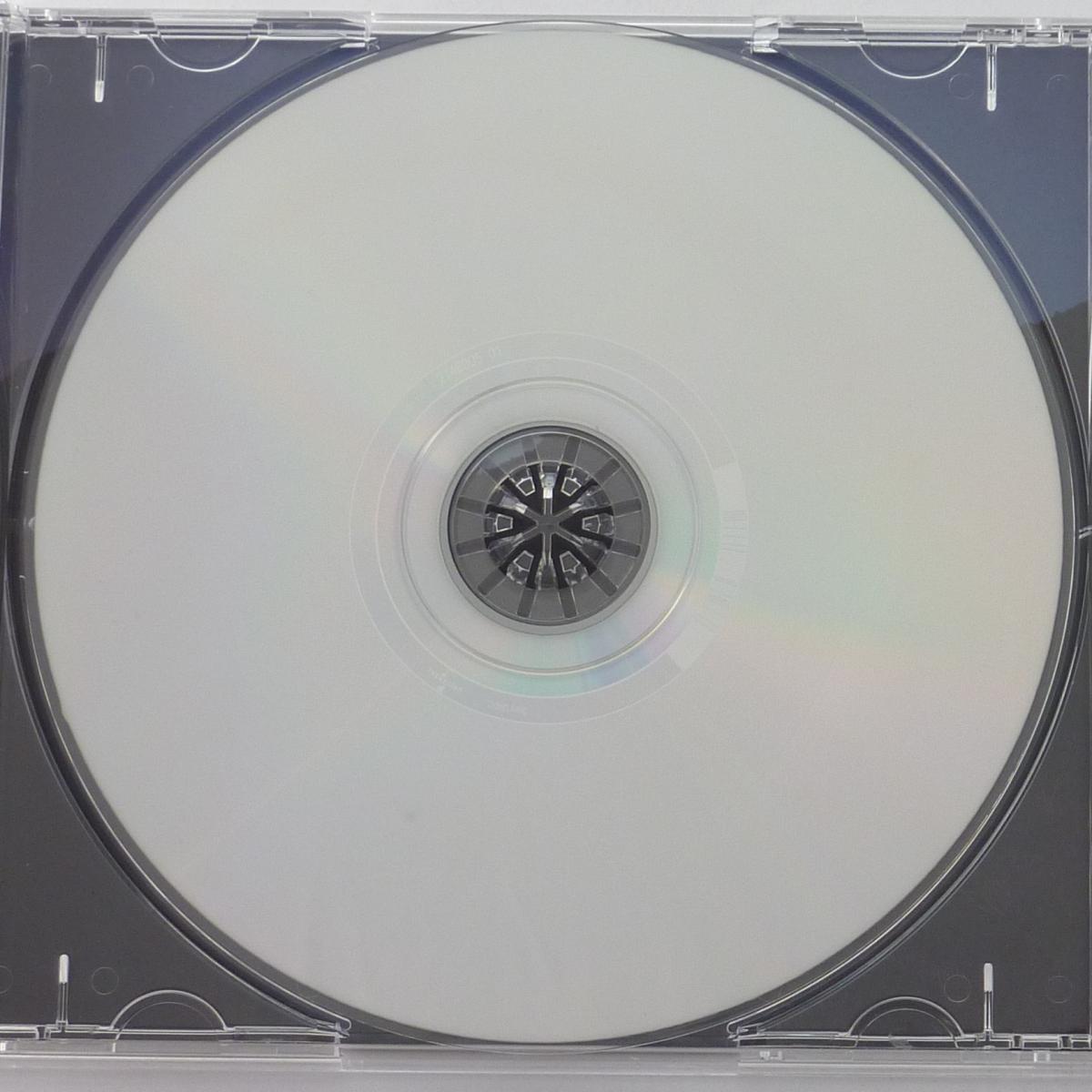 Brandon Flowers Flamingo CD Album