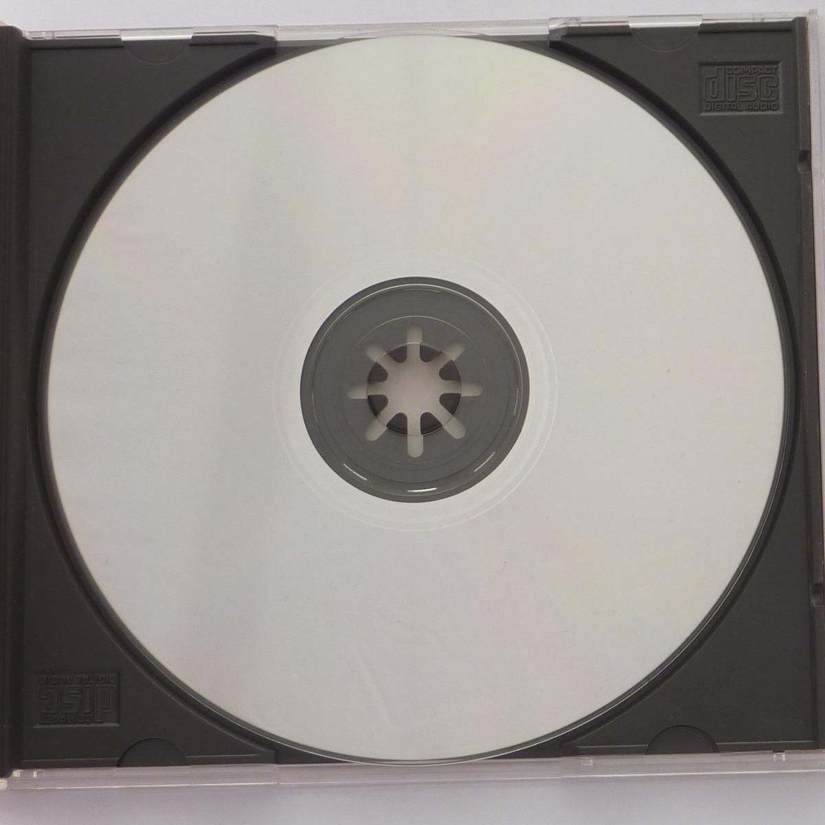 Bruce Willis If It Don't Kill You, It Just Makes You Stronger CD Album Stereo