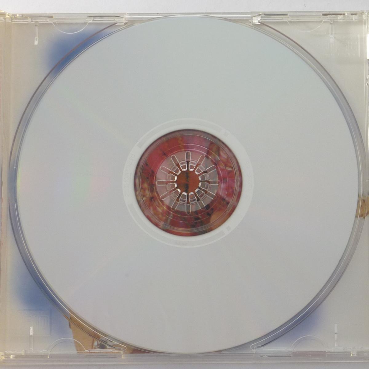 David Cassidy Daydreamer CD Album