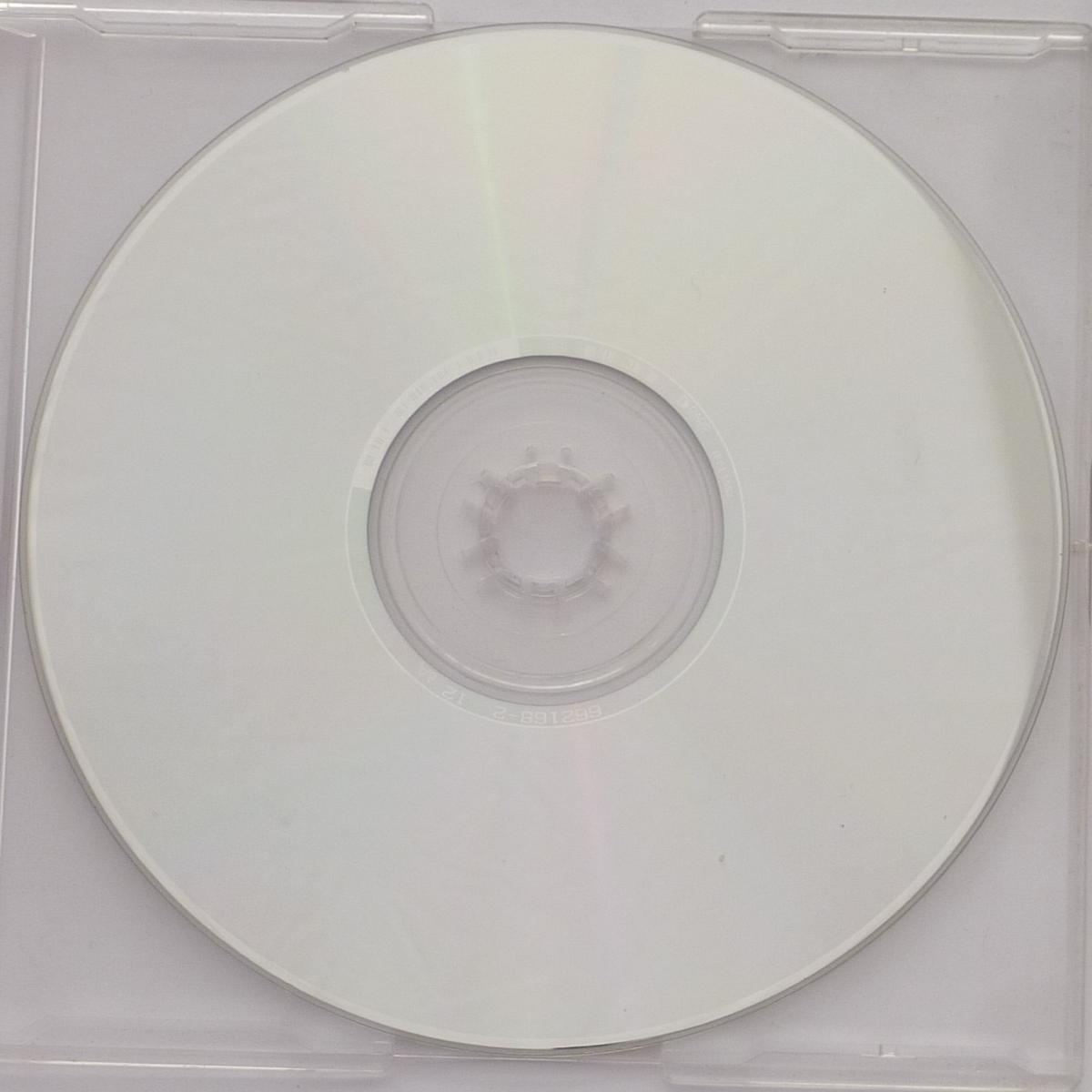 Diana King Shy Guy CD Single