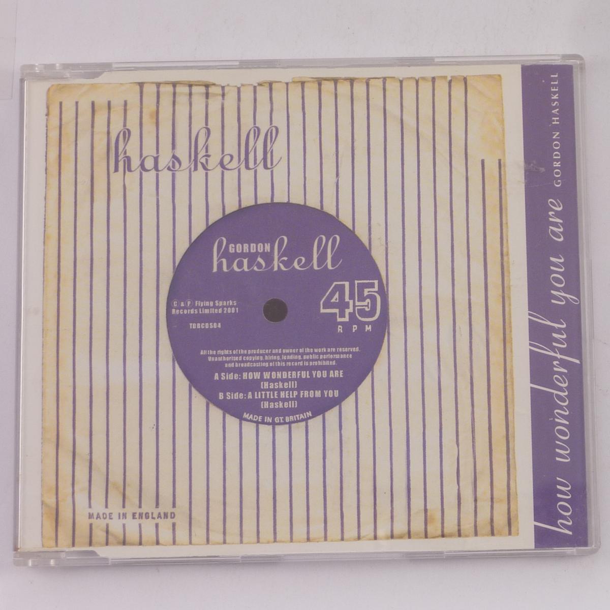 Gordon Haskell How Wonderful You Are CD Single Universal M&L Pressing