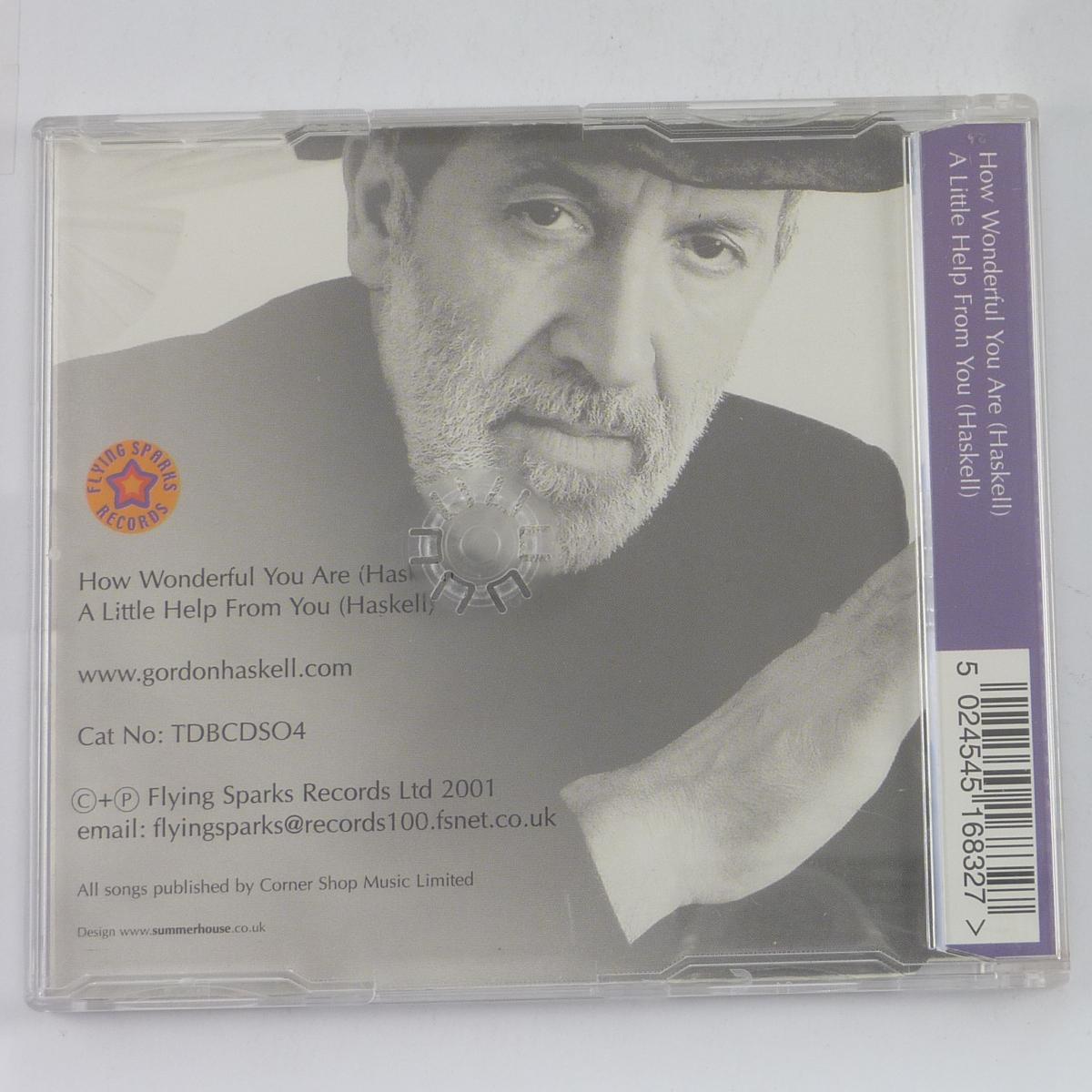 Gordon Haskell How Wonderful You Are CD Single Universal M&L Pressing