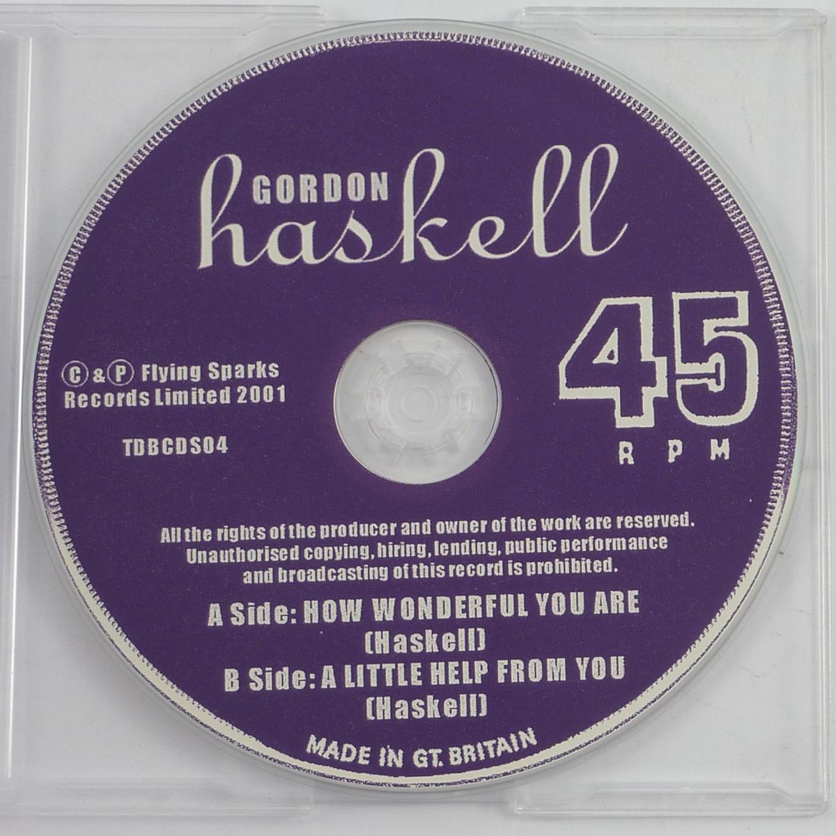 Gordon Haskell How Wonderful You Are CD Single Universal M&L Pressing