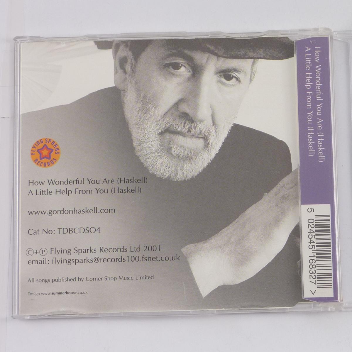 Gordon Haskell How Wonderful You Are CD Single Universal M&L Pressing