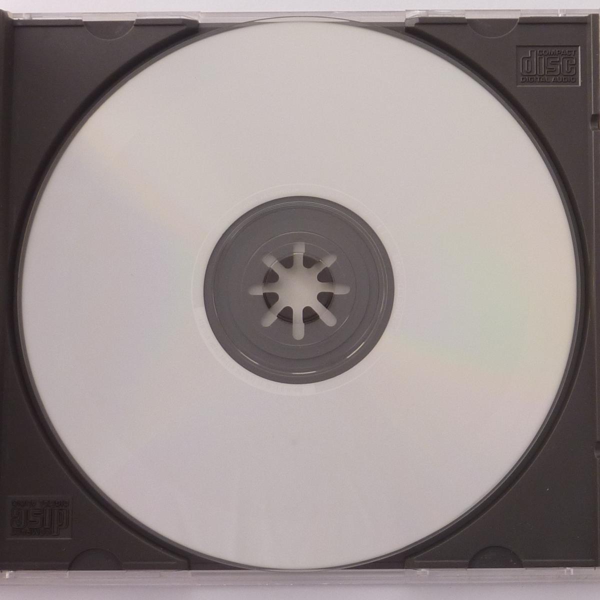 John Lee Hooker The Healer CD Album