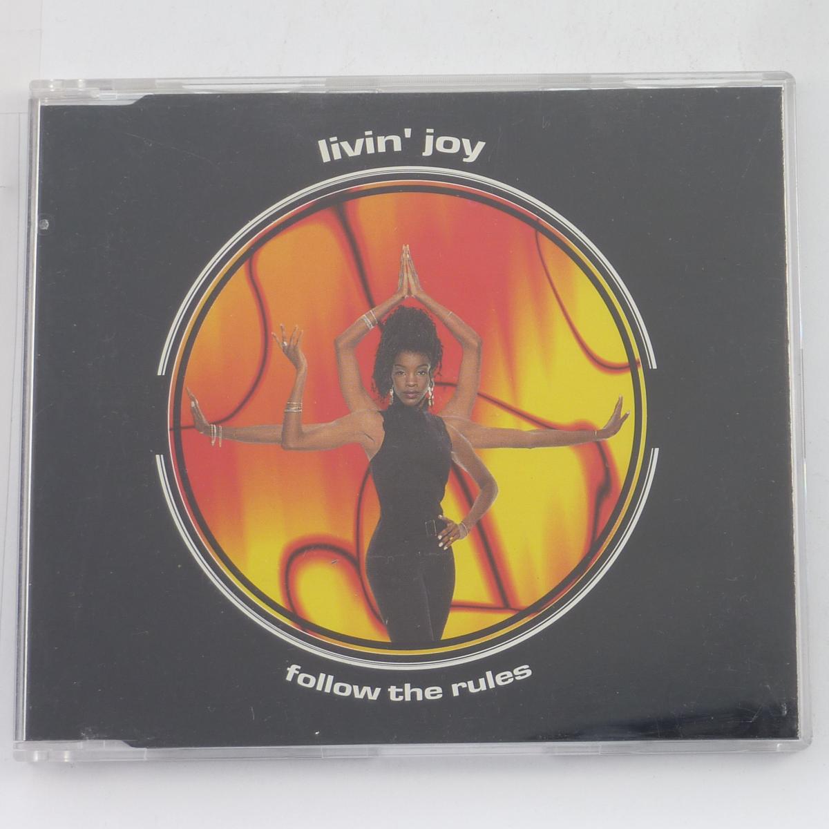 Livin' Joy Follow The Rules CD Single