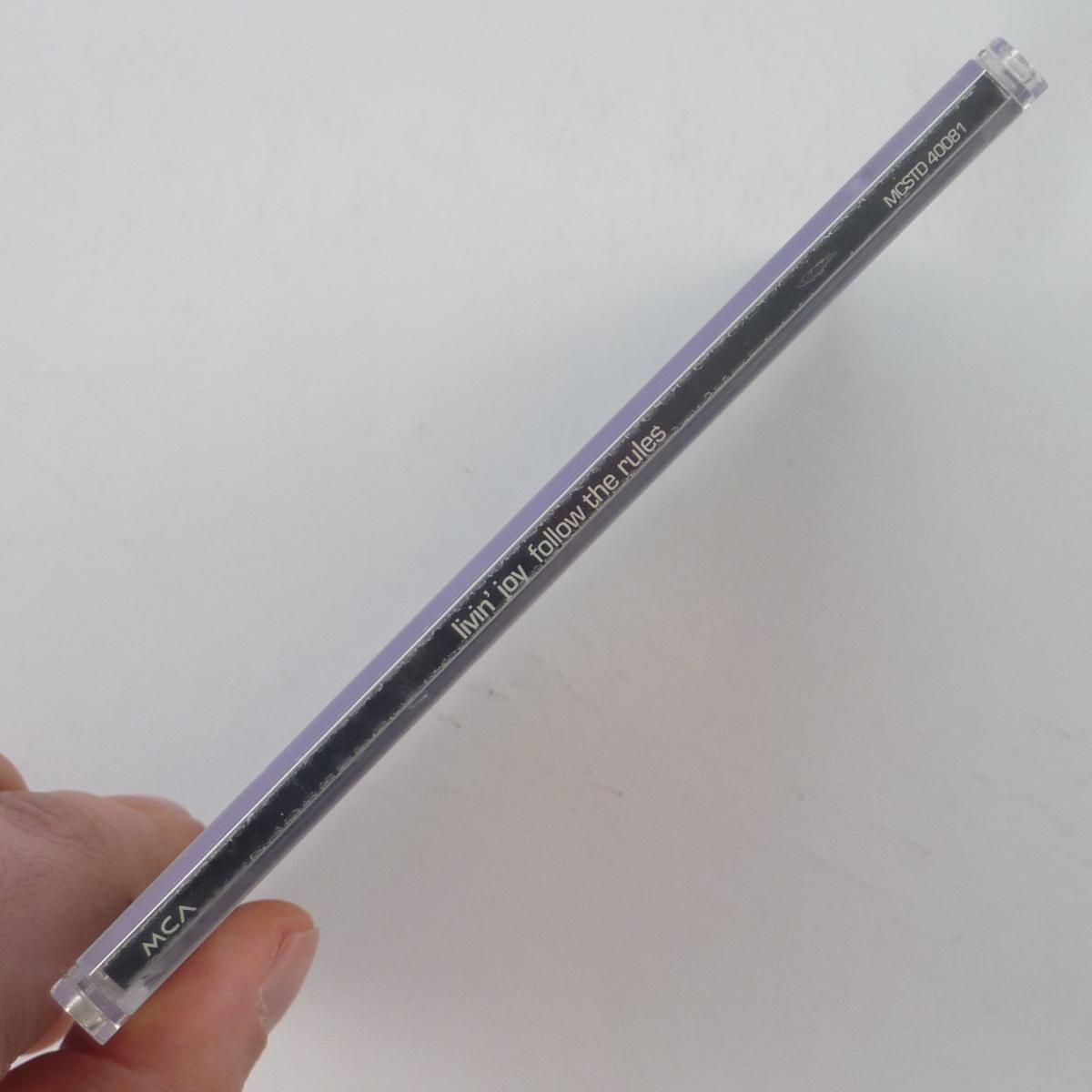 Livin' Joy Follow The Rules CD Single