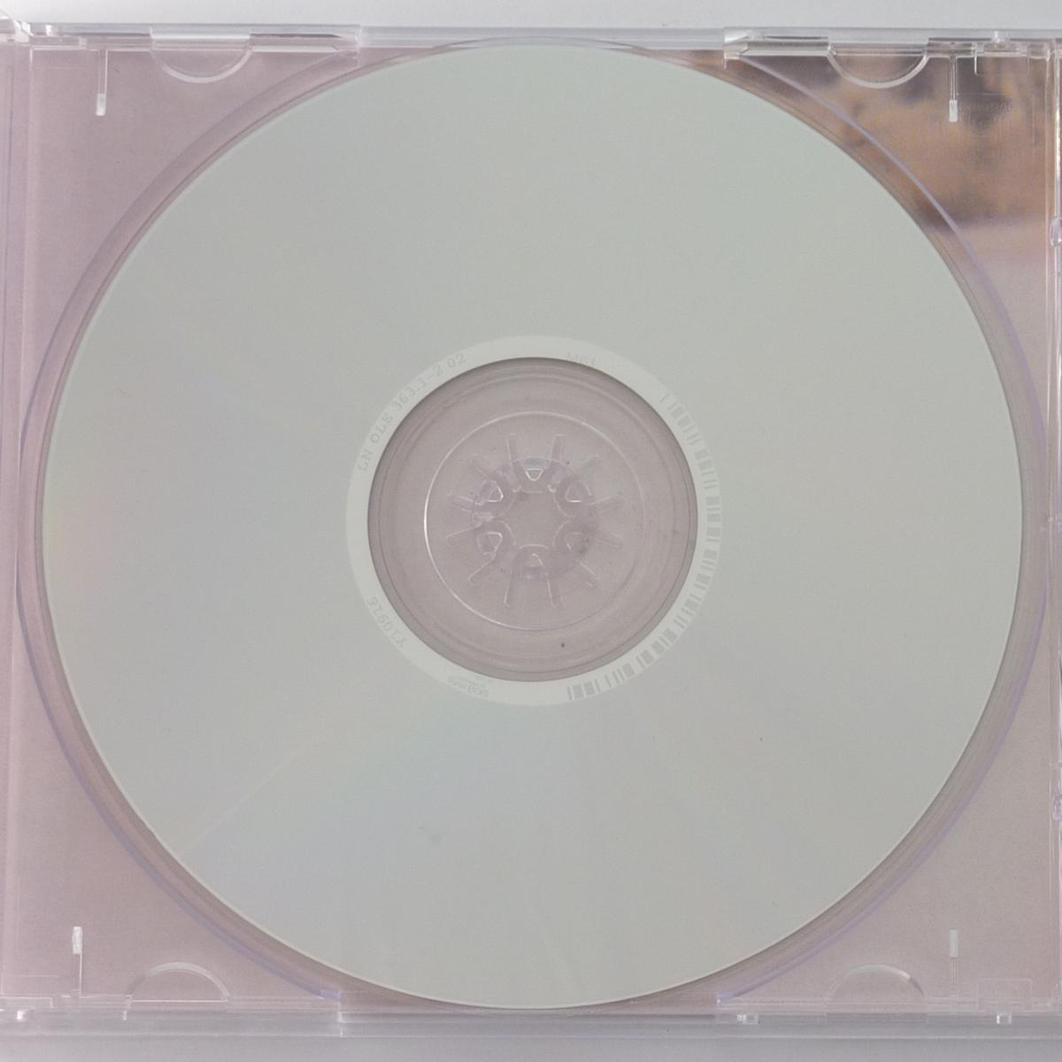 Mary Timony Mountains CD Album