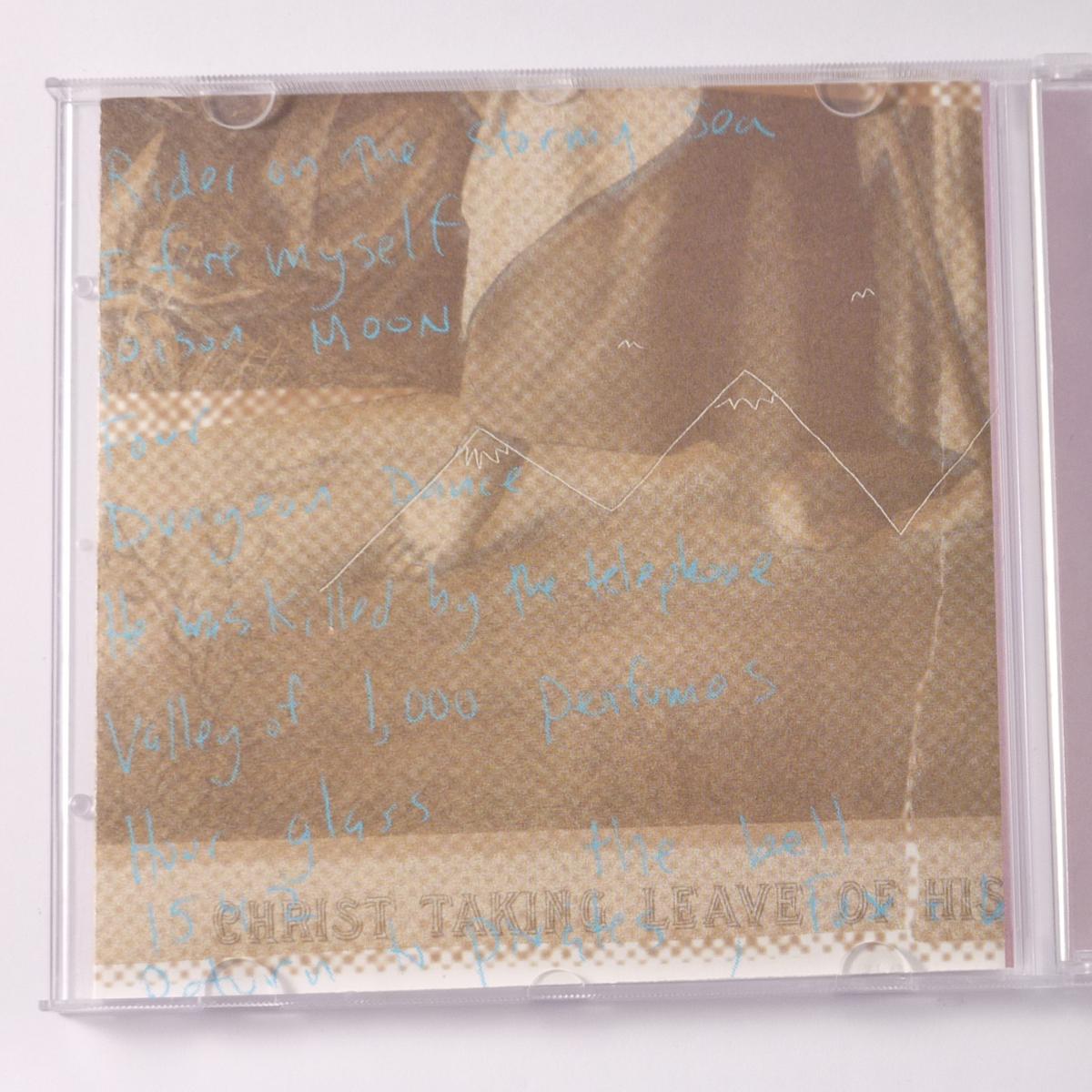 Mary Timony Mountains CD Album