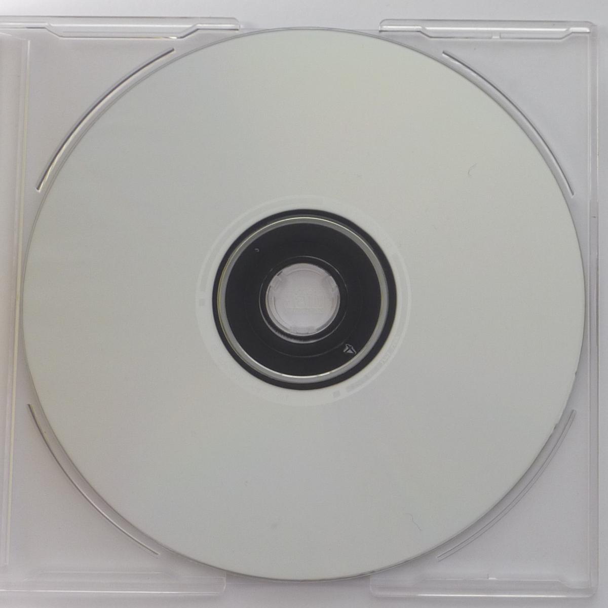 Mr Roy Featuring Darryl Pandy Searching For Love CD Single