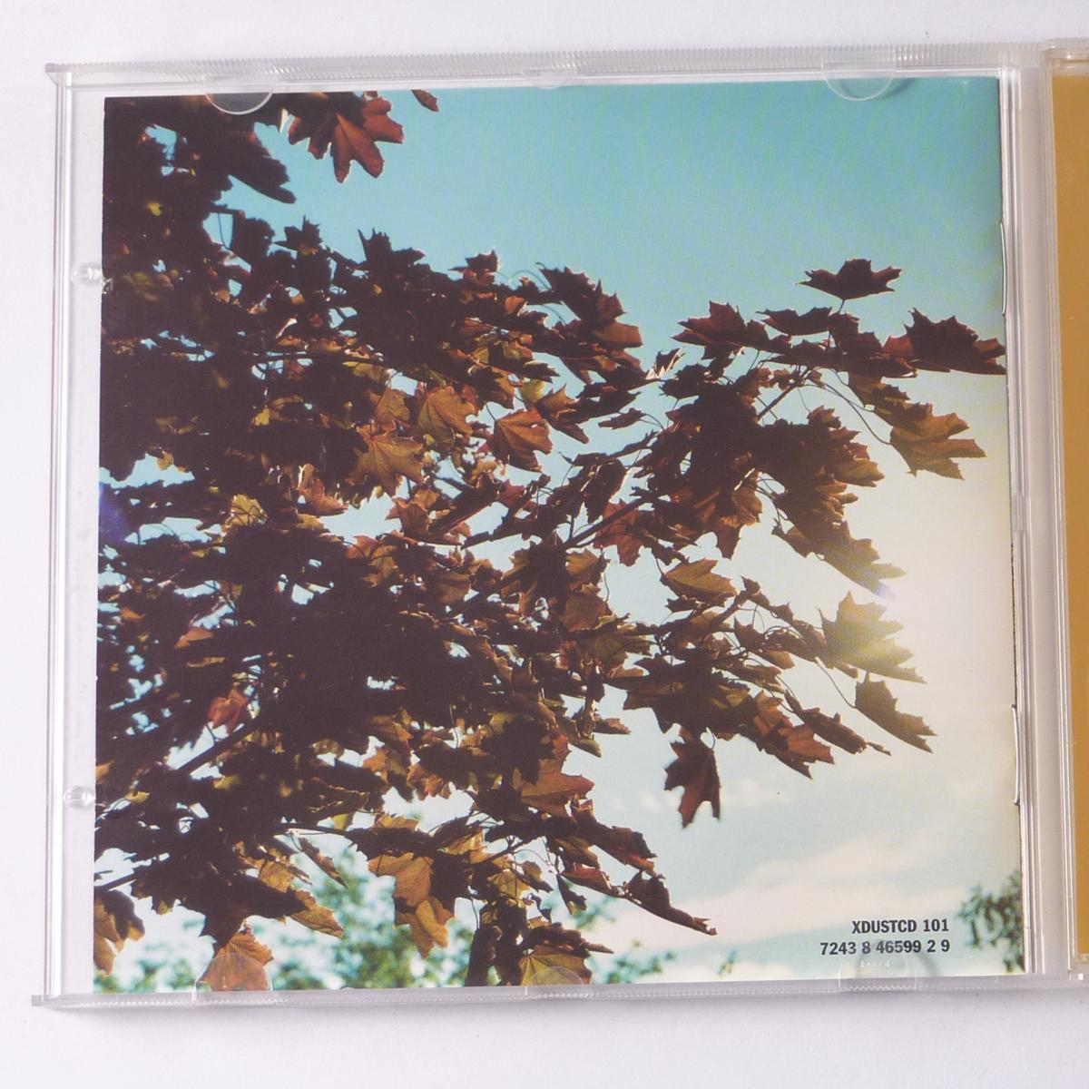 The Chemical Brothers Brothers Gonna Work It Out CD Album