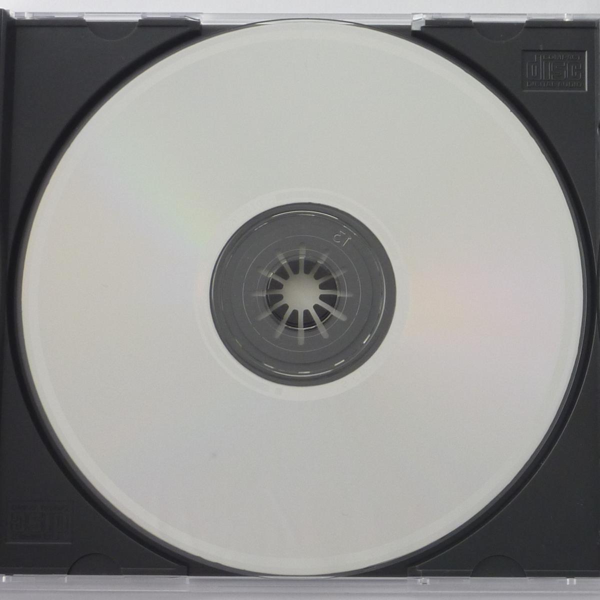 The Synthesizer Rock Orchestra The Synthesizer Rock Orchestra Plays The Beatles Classic Trax CD Album